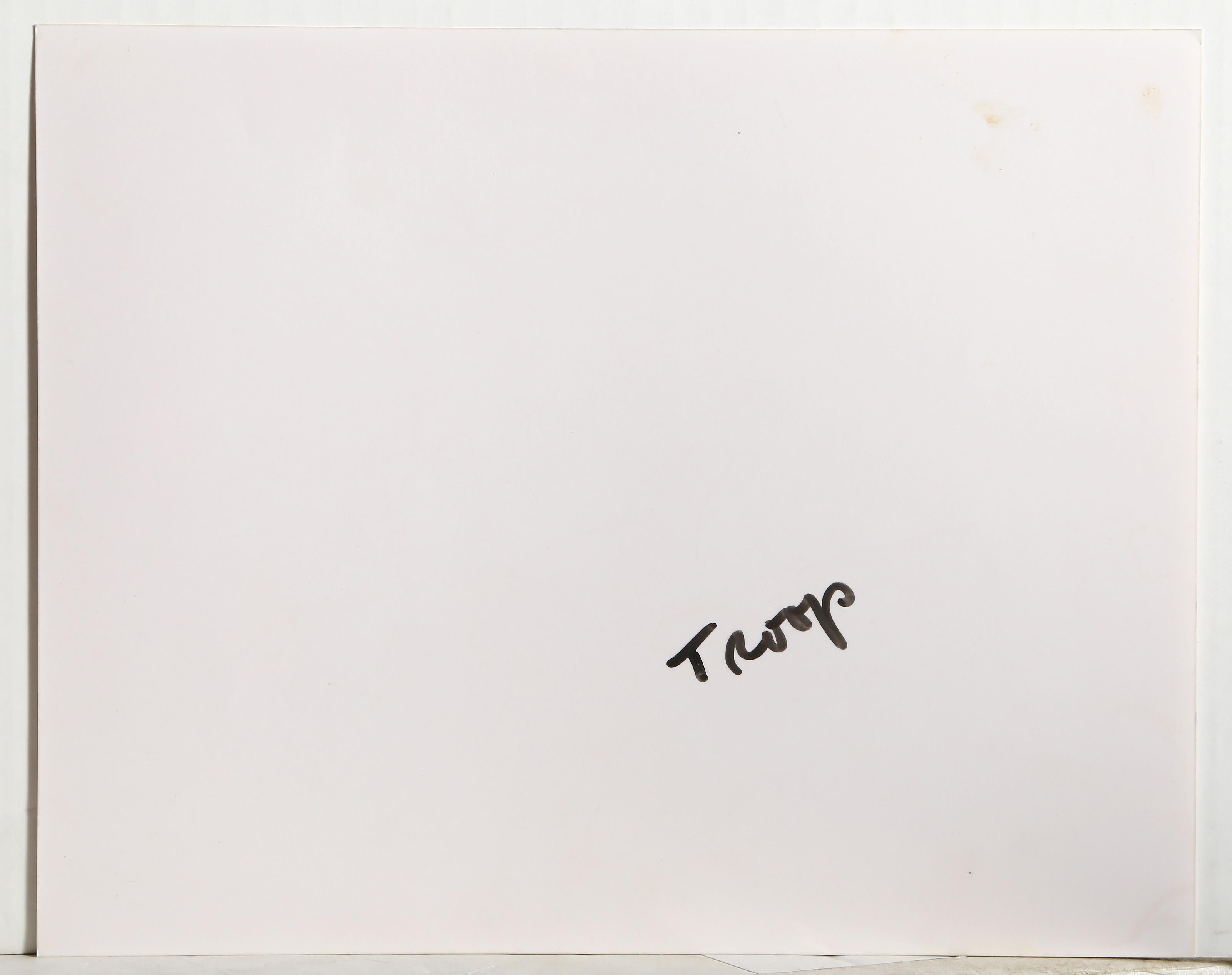 Troop, Contemporary Photograph by David Ogburn For Sale 3