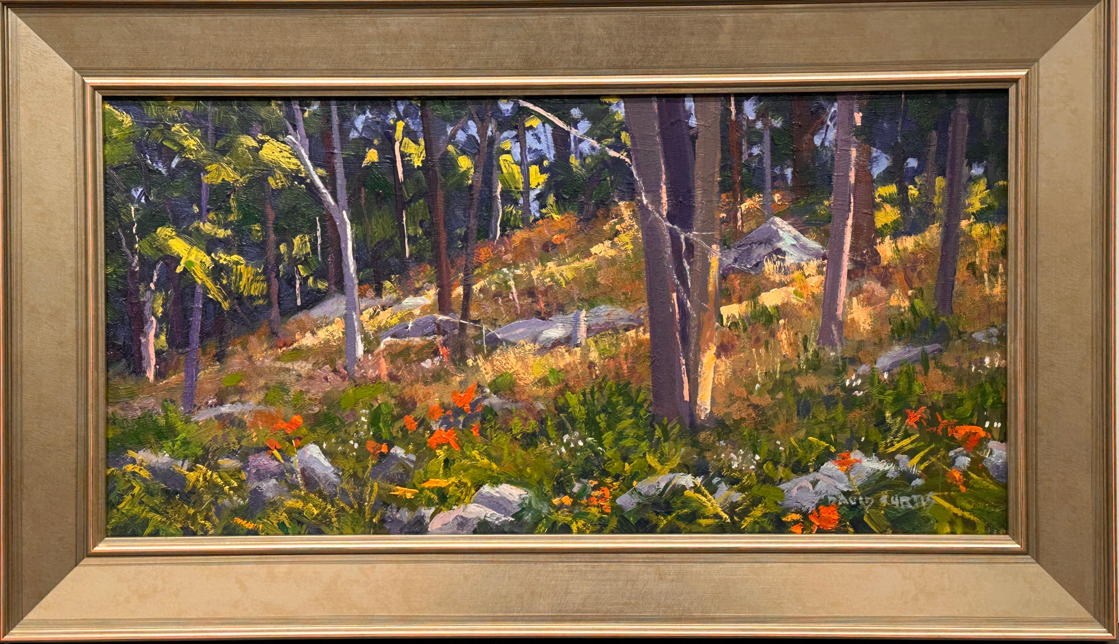 Pleinair-Maler David P. Curtis Lebendige Landschaftsmalerei im Angebot 1