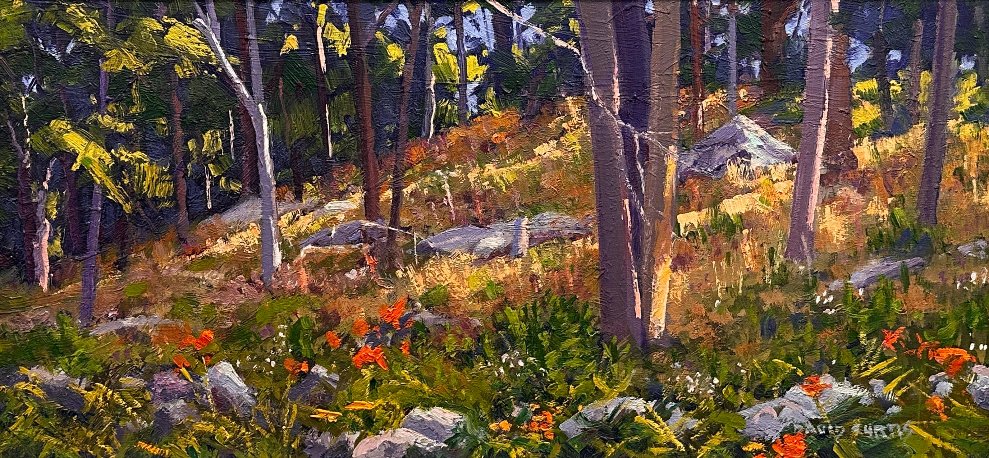 Pleinair-Maler David P. Curtis Lebendige Landschaftsmalerei
