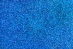 Arte contemporanea americana di David Paul Kaye - Spectrum
