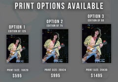Eddie Van Halen in Yellow Zebra Fine Art Print