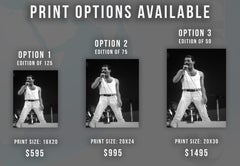 Freddie Mercury Singing on Stage Fine Art Print