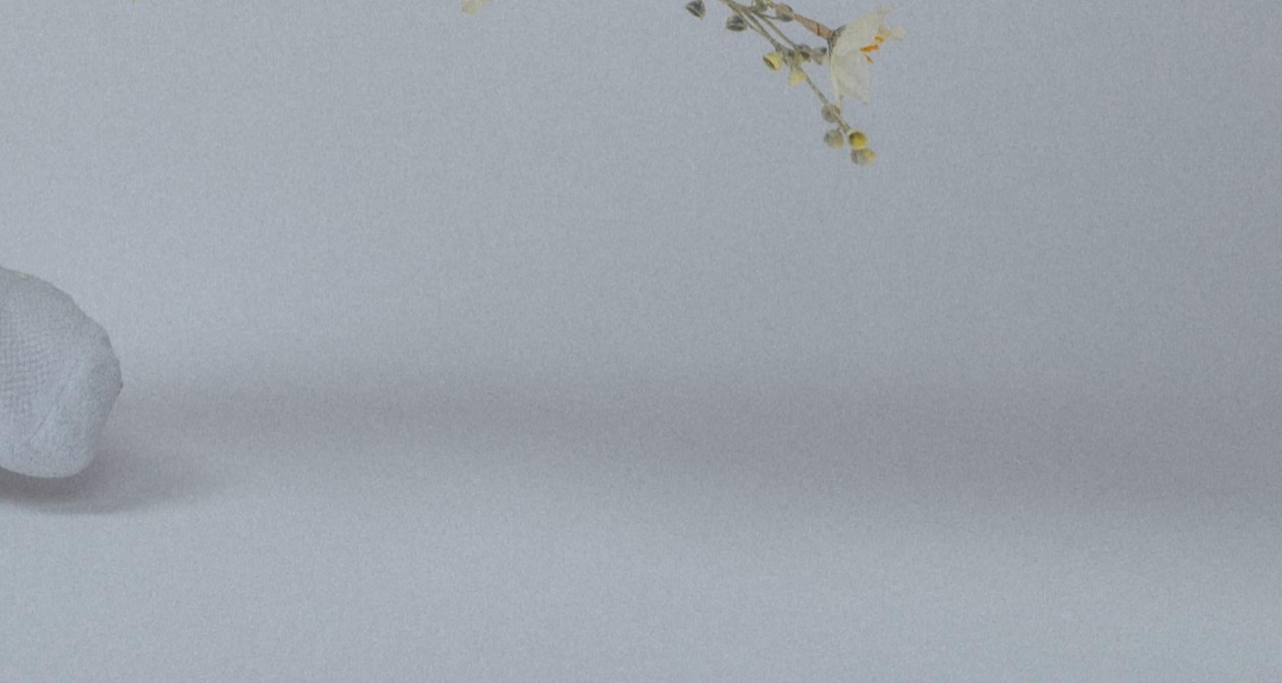 Feet with Flowers One (Funny, Whimsical, Warm Tones, 38% OFF - LIMITED TIME) en vente 5
