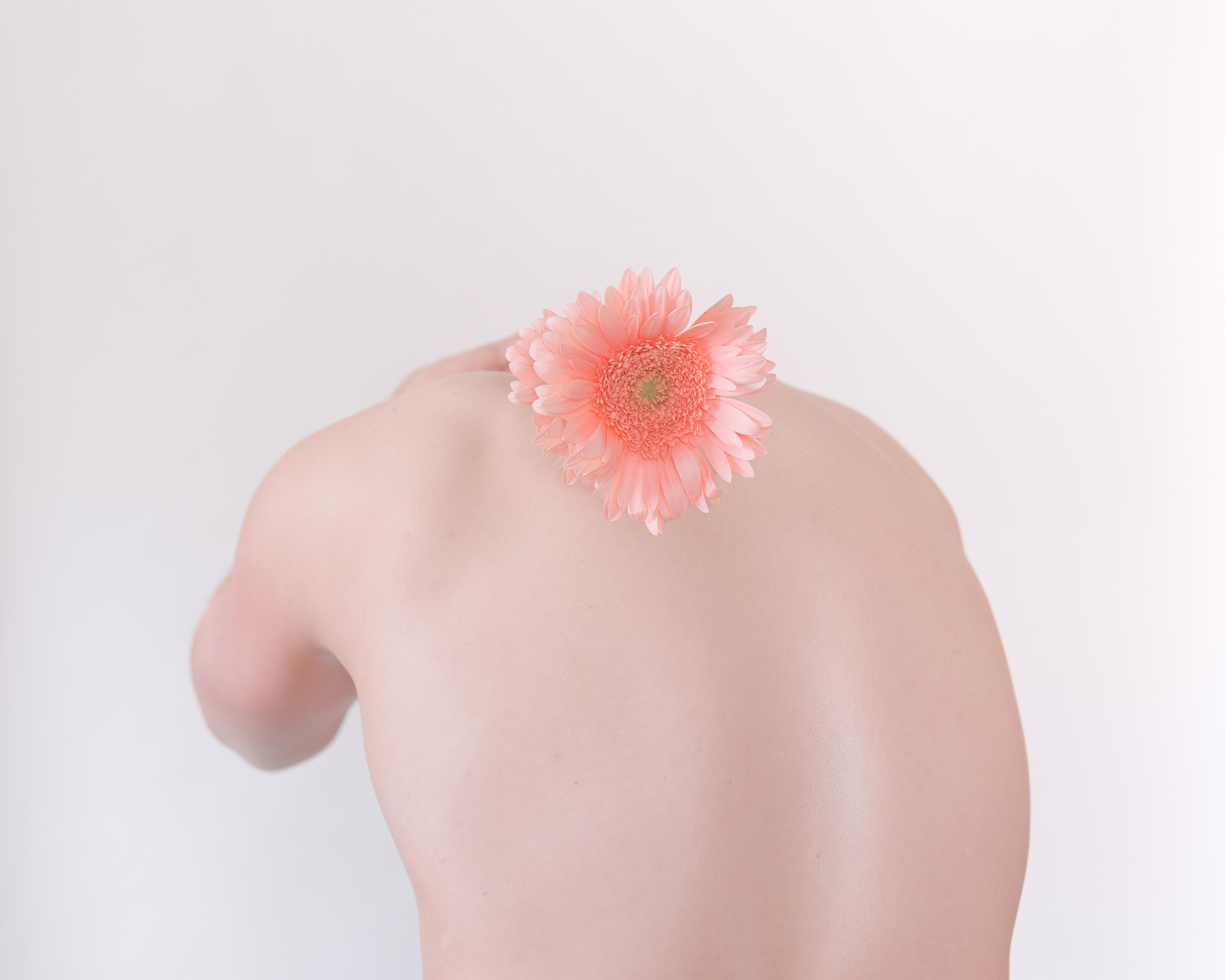 David Pugh Portrait Photograph – Skin and Flower (Male, Back, Flower, Pink, Rose, Soft, Portrait, Stillleben)