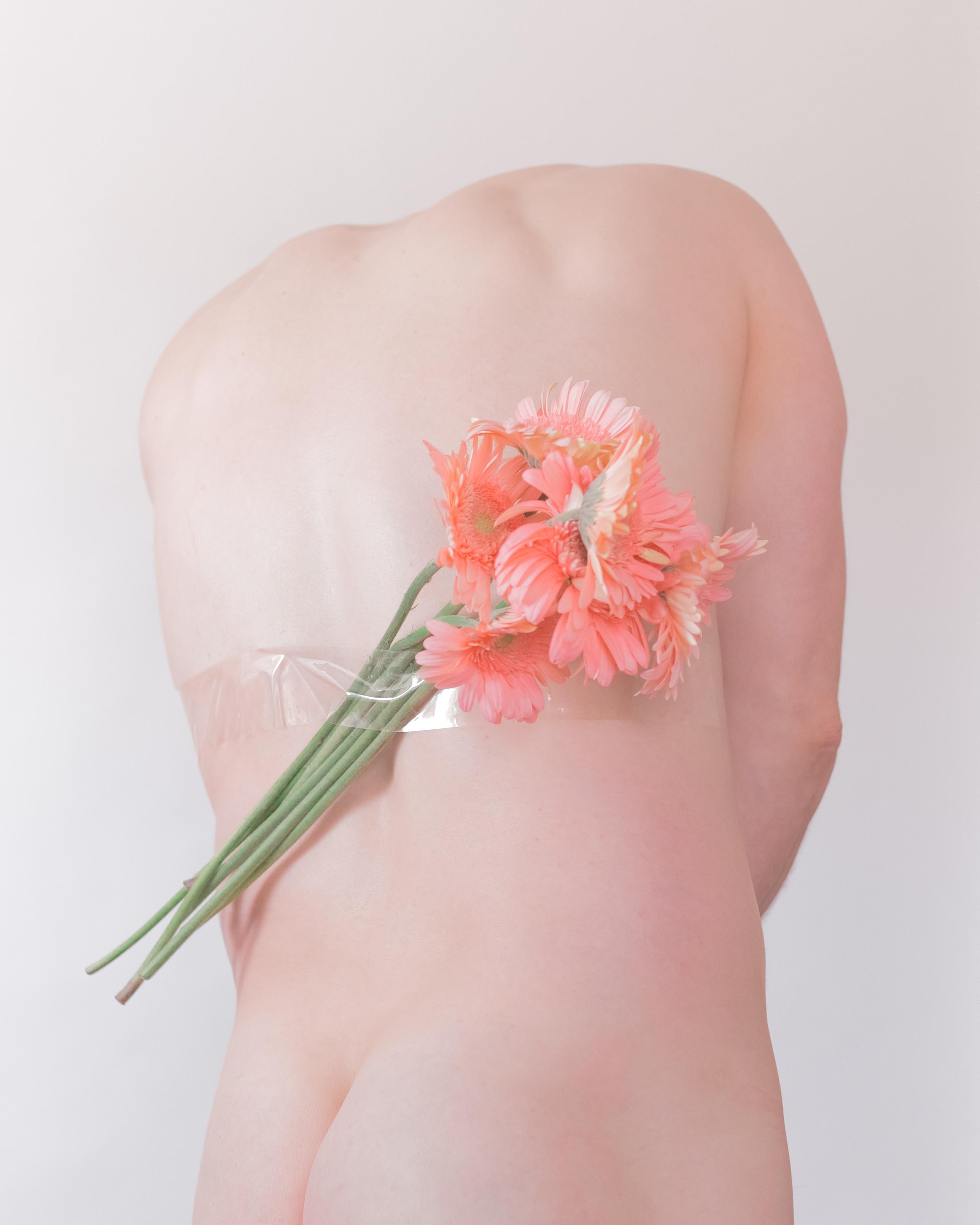 David Pugh Portrait Photograph – Tape (Male, Back, Flowers, Pink, Rose, Soft, Portrait, Stillleben, Nude, Tape)