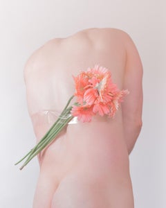 Tape (Male, Back, Flowers, Pink, Rose, Soft, Portrait, Still Life, Nude, Tape)