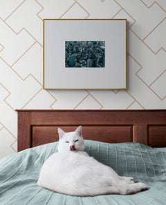 Vue de l'Empire State Building II (Big Apple, New York City, NYC, Iconique)