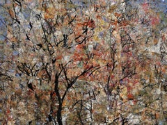 Feynman's Notes 39 - Abstract red & blue textured tree branches nature layers