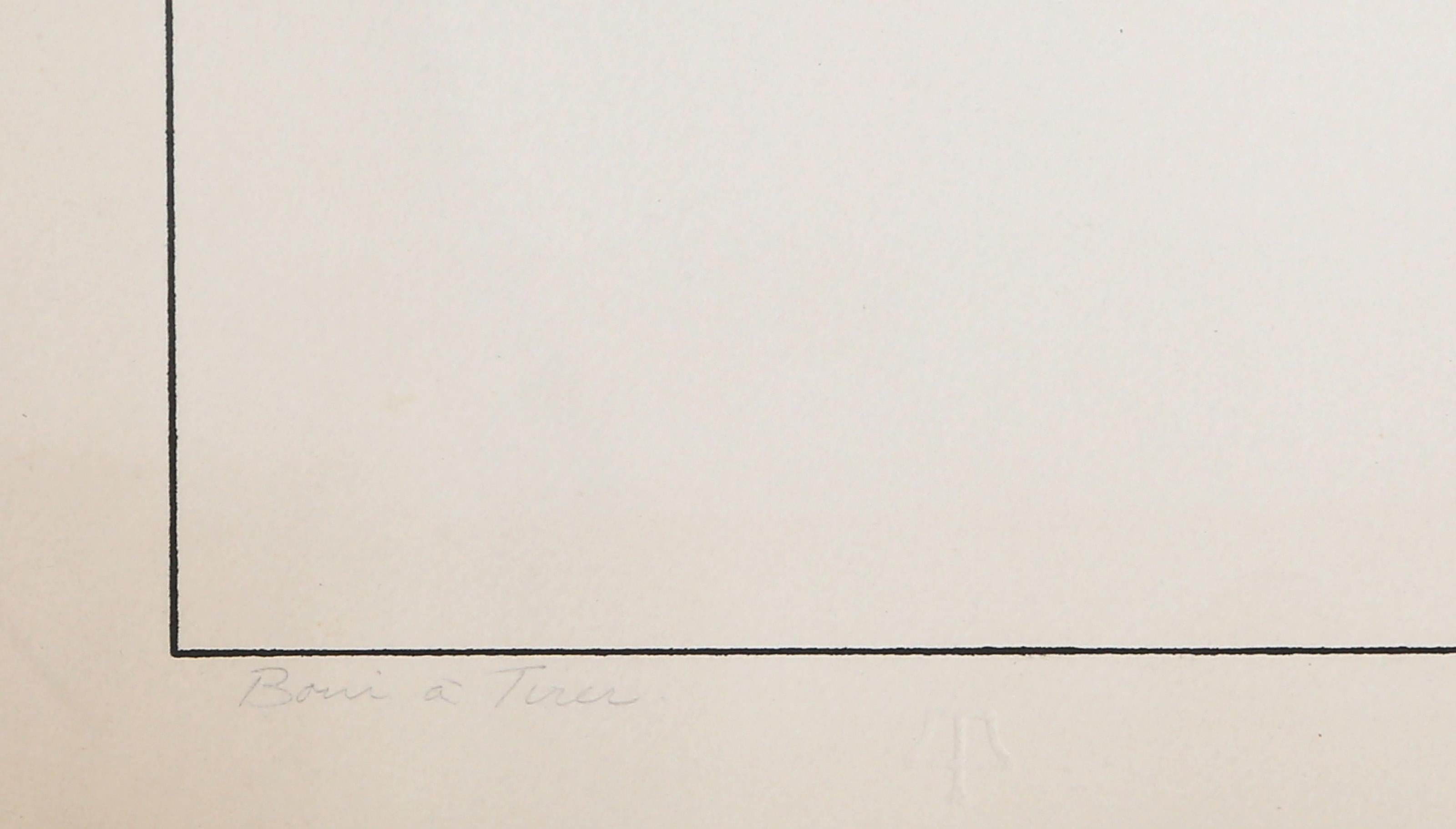 Façade, lithographie conceptuelle de David Richard Smyth en vente 2