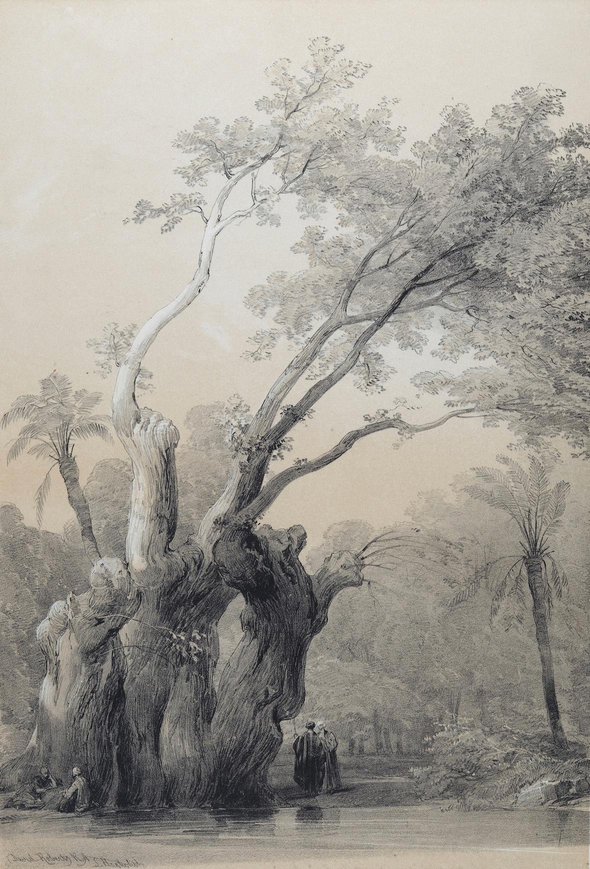 David Roberts Landscape Print - The Holy Tree of Metereah, Egypt: Original 19th C. Lithograph by D. Roberts