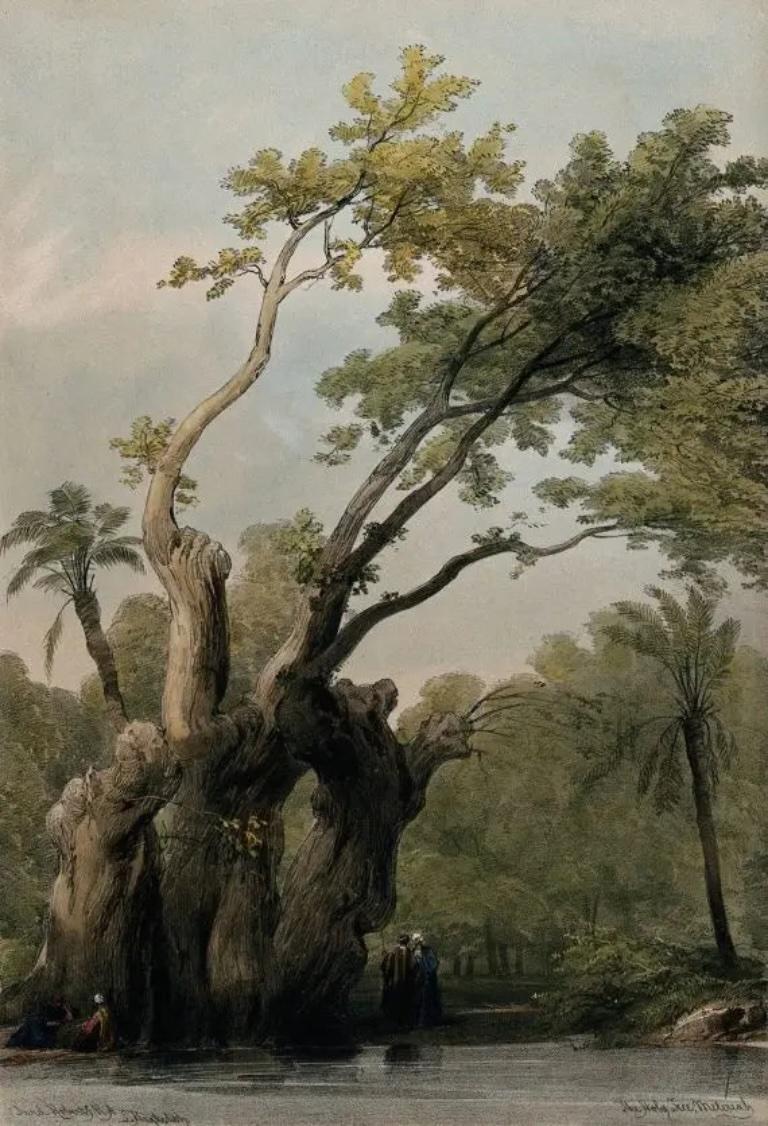 Landscape Print David Roberts - L'arbre sacré de Metereah