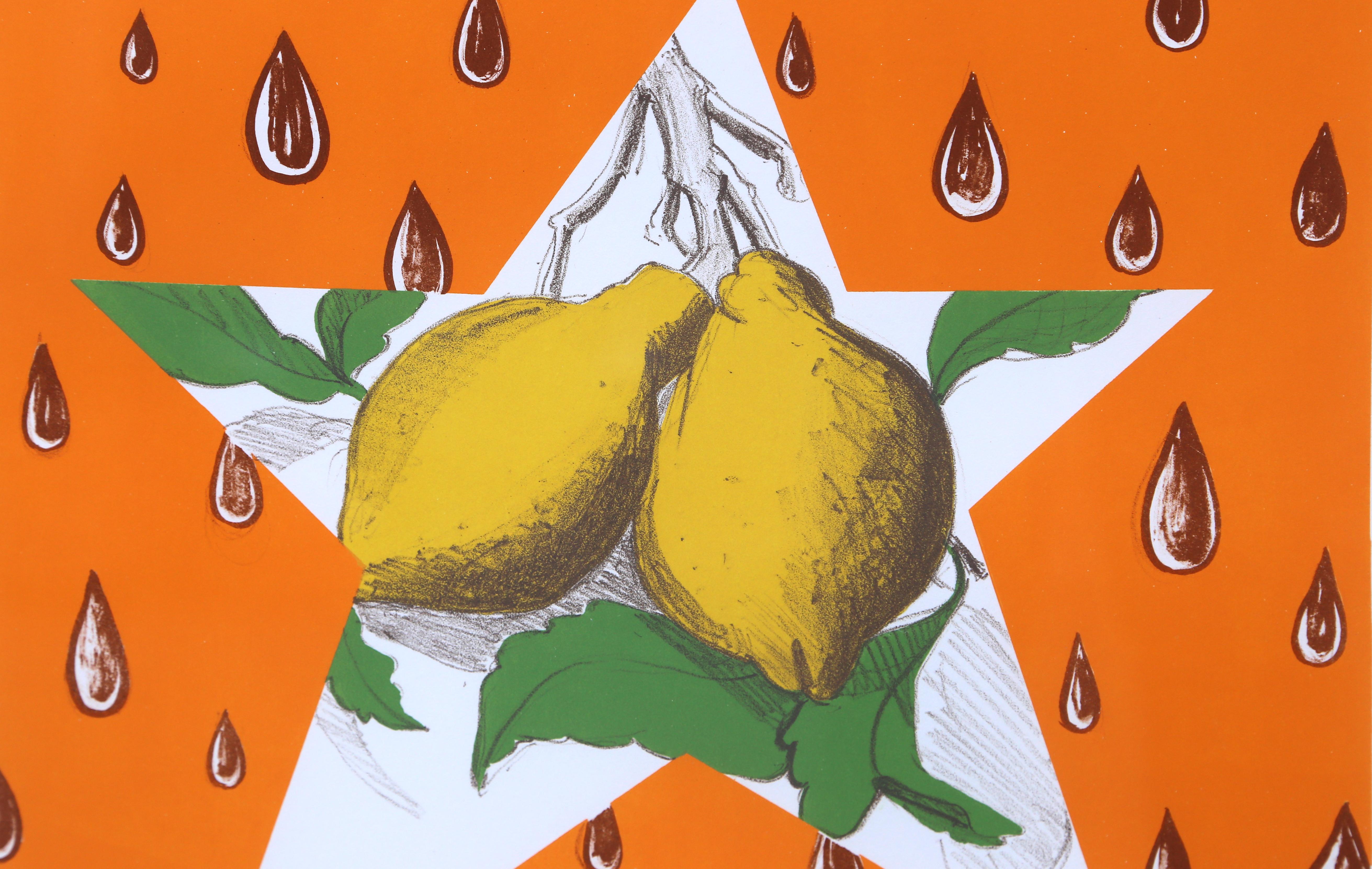The Lemon Twig, Framed Lithograph by David Salle 1