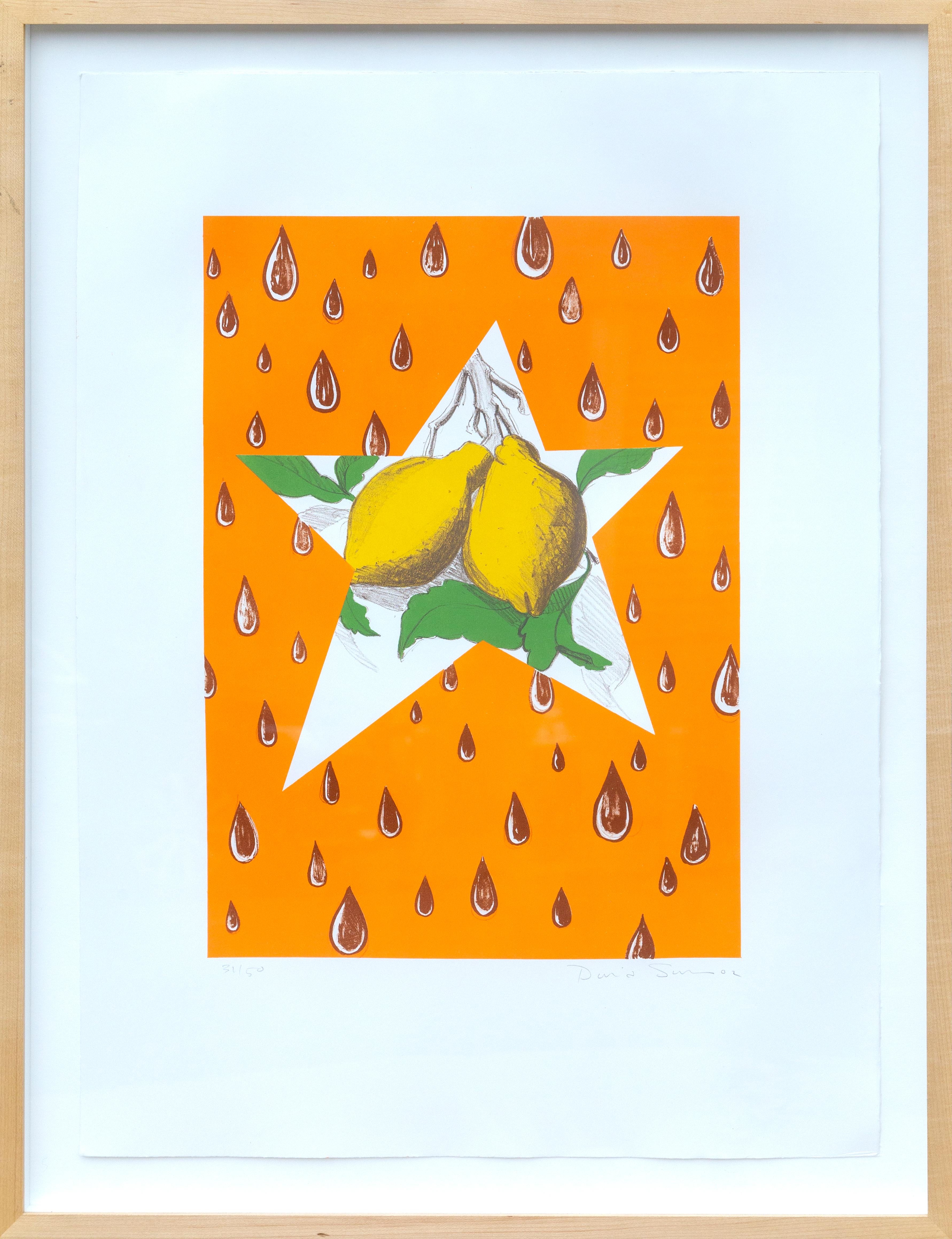 Artist: David Salle, American (1952 - )
Title: The Lemon Twig
Year: 2002
Medium: Lithograph, signed and numbered in pencil
Edition: 31/50
Size: 29.75  x 21.5 in. (75.57  x 54.61 cm)
Frame Size: 34 x 26 inches