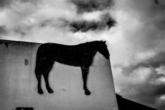 Caballo Flotante, Tienda de Sillas Lake Worth, FL