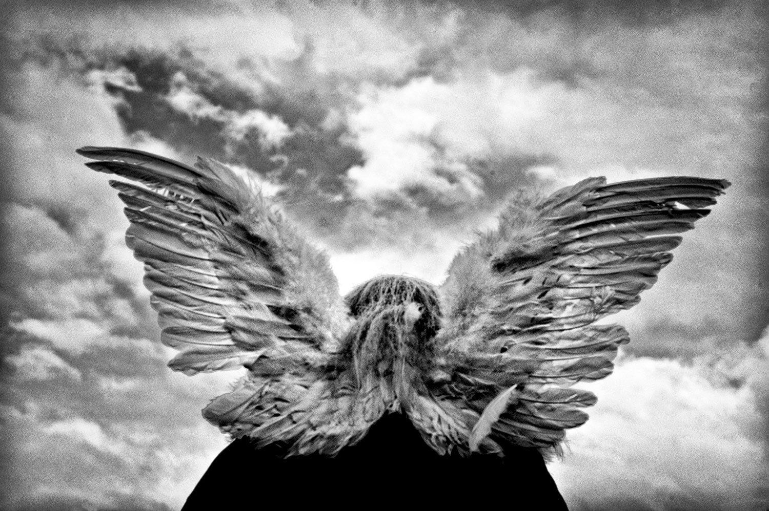 David Saxe Black and White Photograph - Fort Pierce, FL