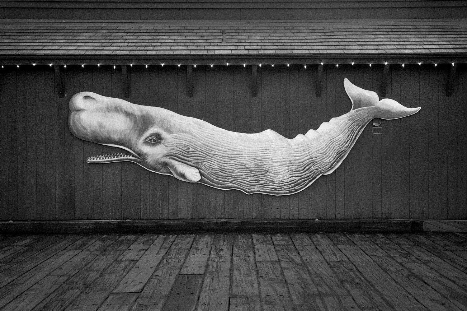 David Saxe Black and White Photograph - Southern California, 2010
