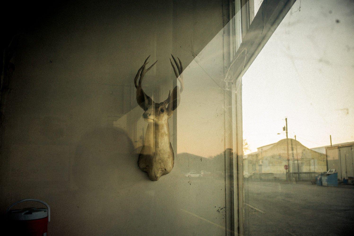 Store Window. Marfa, TX
