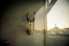 Store Window. Marfa, TX