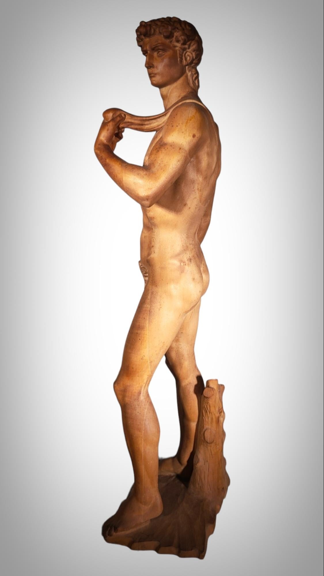 DAVID SCULPTURE IN WOOd For Sale 5