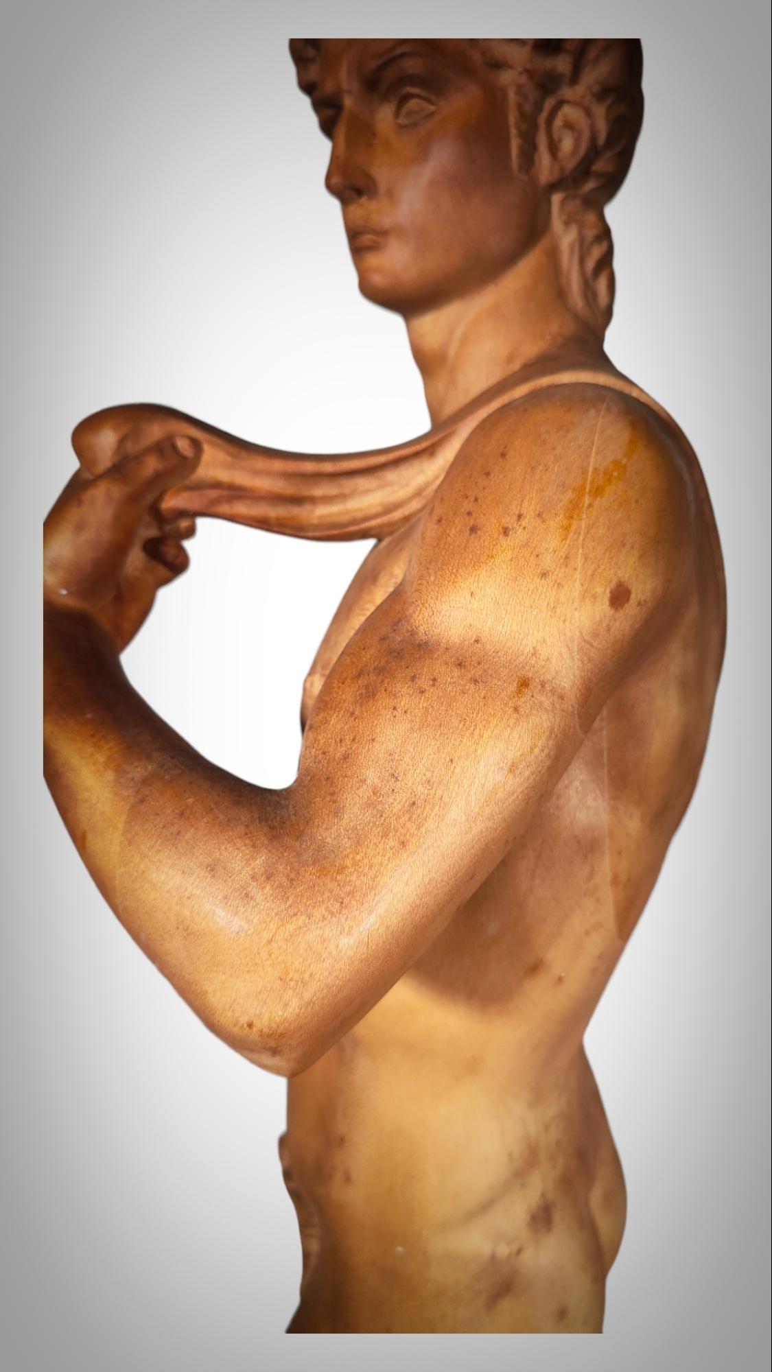 DAVID SCULPTURE IN WOOd For Sale 7