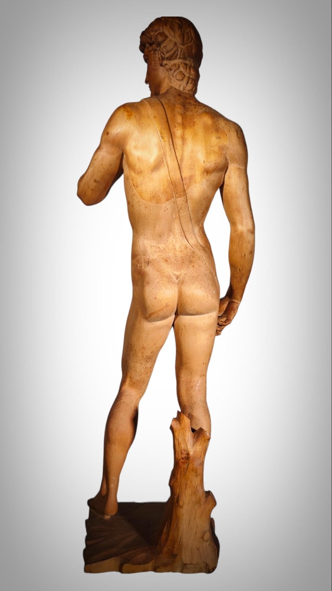DAVID SCULPTURE IN WOOd For Sale 8