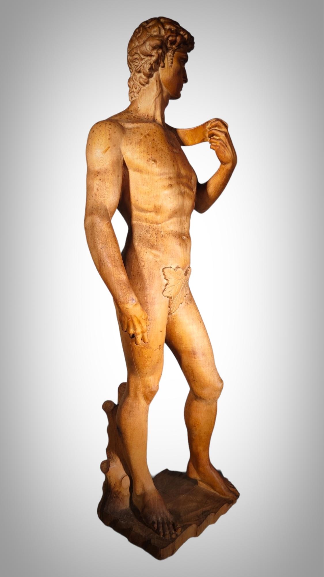 DAVID SCULPTURE IN WOOd im Angebot 9