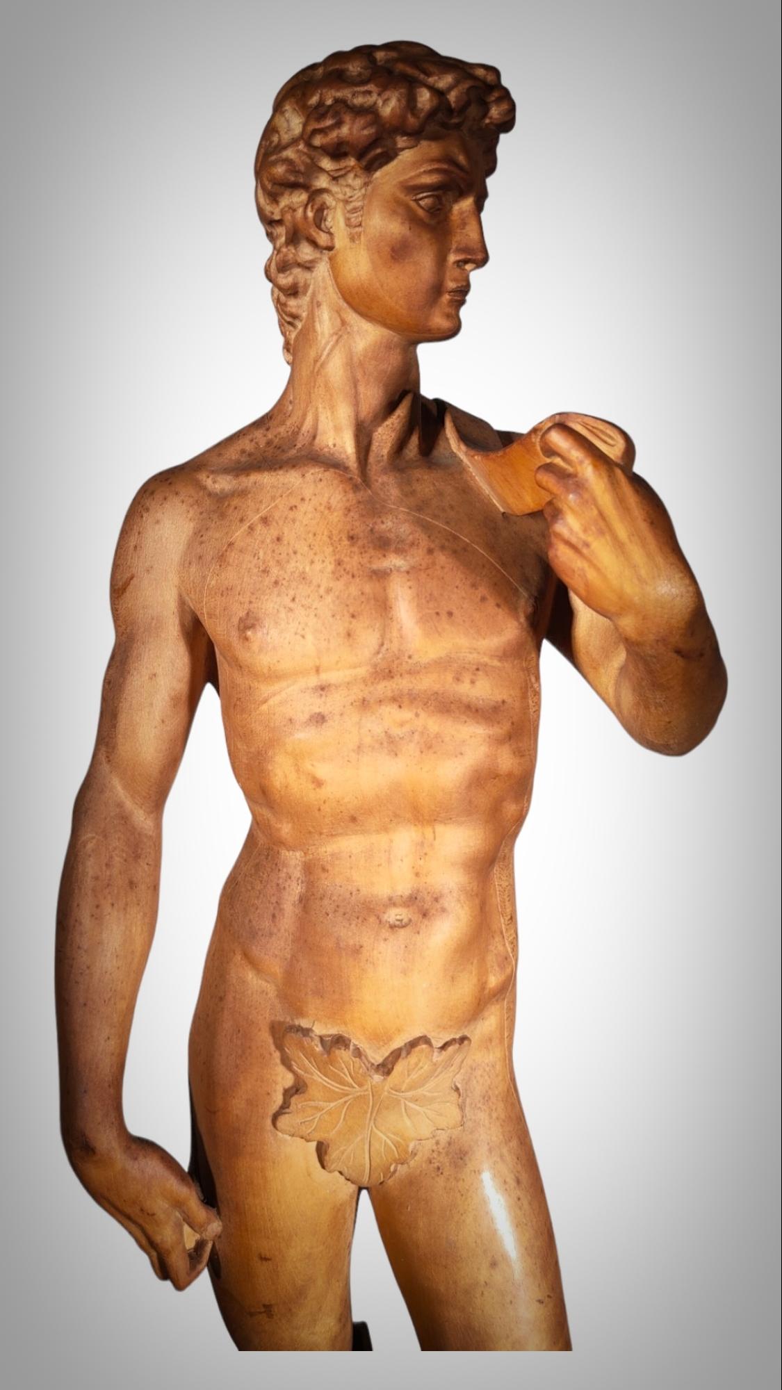 20th Century DAVID SCULPTURE IN WOOd For Sale