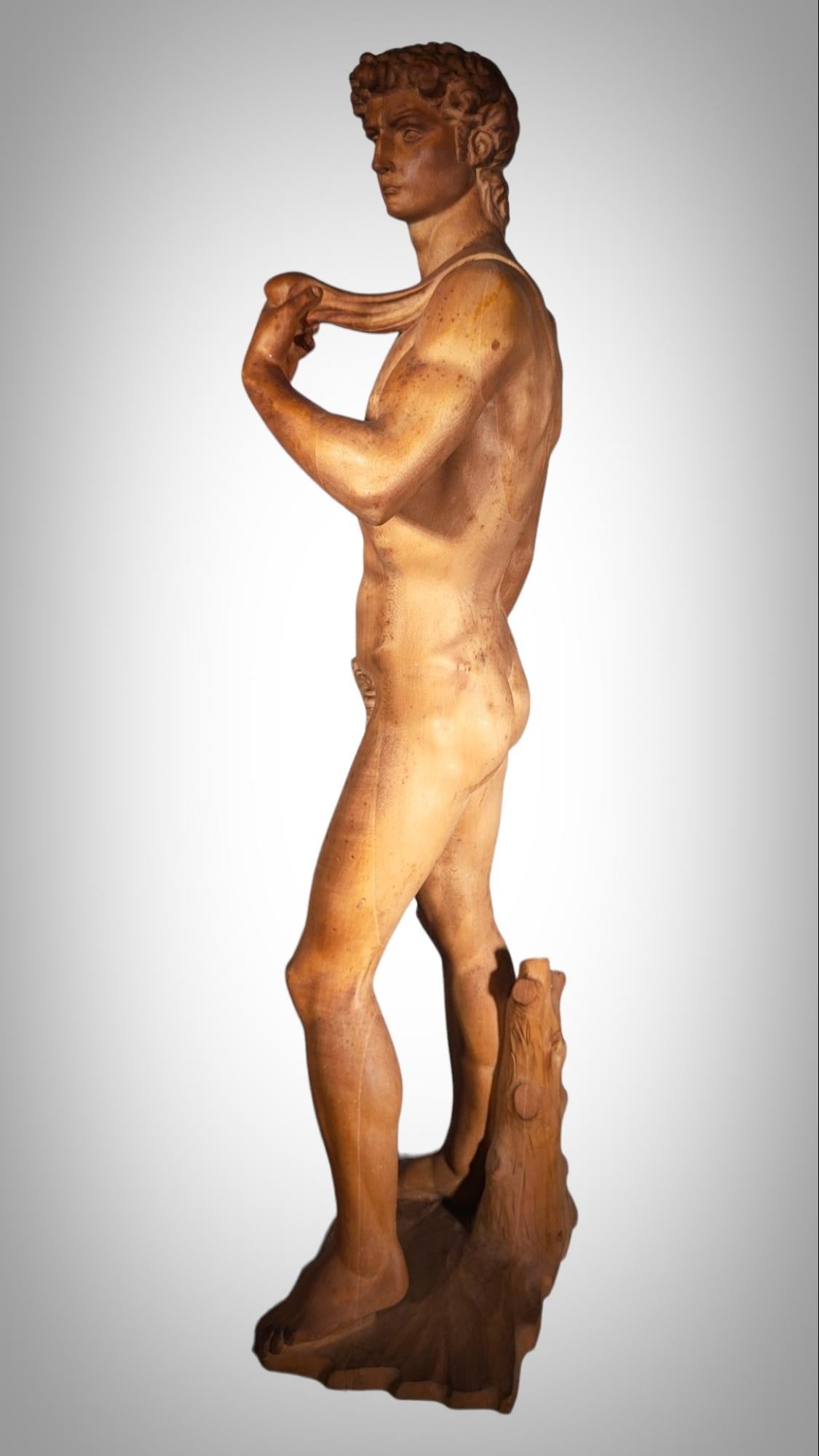 DAVID SCULPTURE IN WOOd For Sale 2