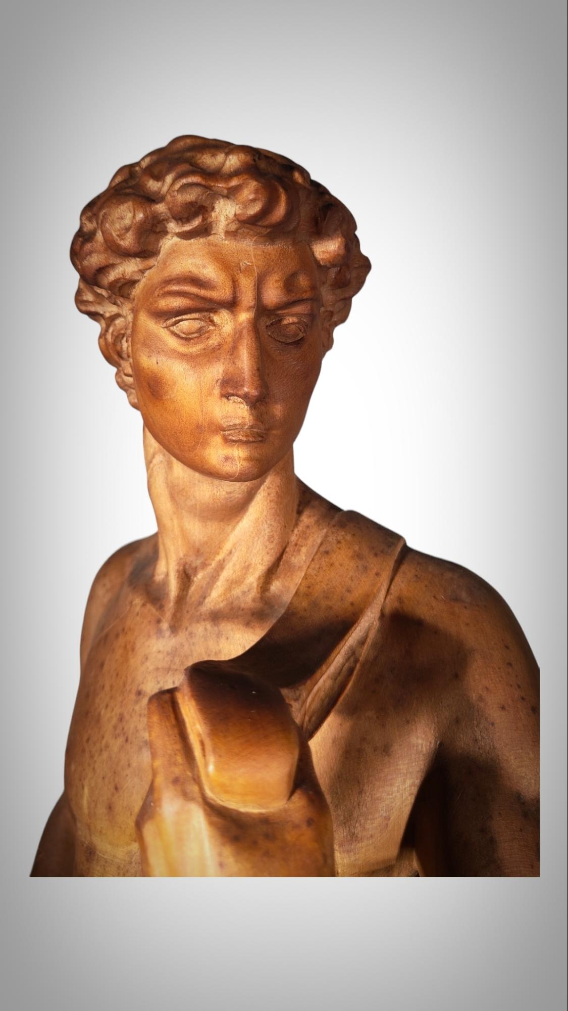 DAVID SCULPTURE IN WOOd For Sale 3