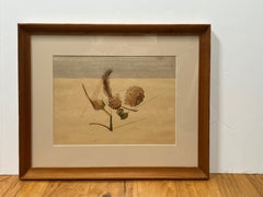 "Pinecones" Mid-Century Still-life by David Segel