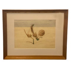 Still-life di metà secolo "Pinecones" di David Segel