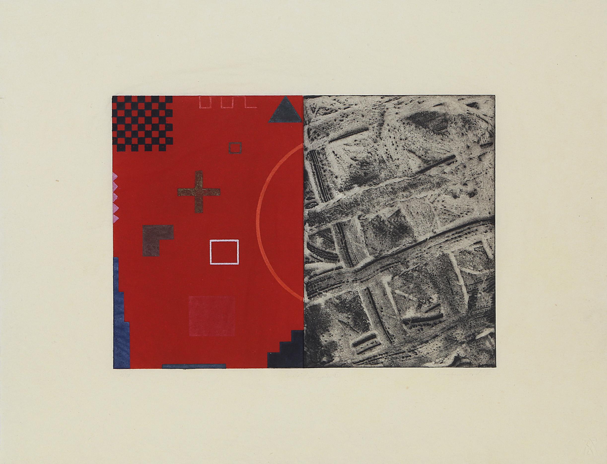 Birnham Wood 2, Geometric Abstract Etching with Aquatint by David Shapiro