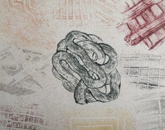 Subtle Body, Abstract Expressionist Lithograph and Screenprint by David Shapiro