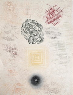 Subtle Body, Abstract Expressionist Lithograph and Screenprint by David Shapiro