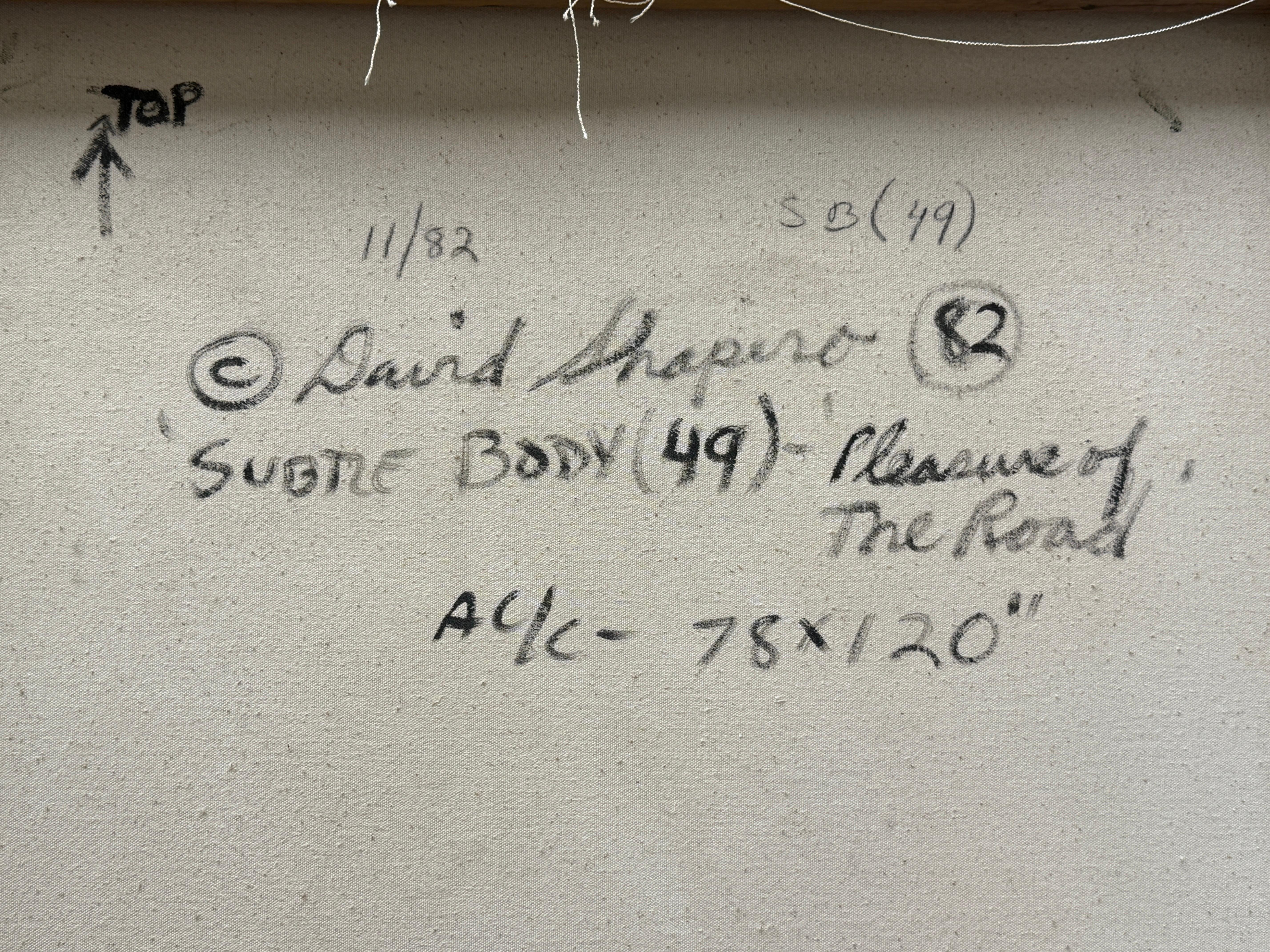 David Shapiro, 