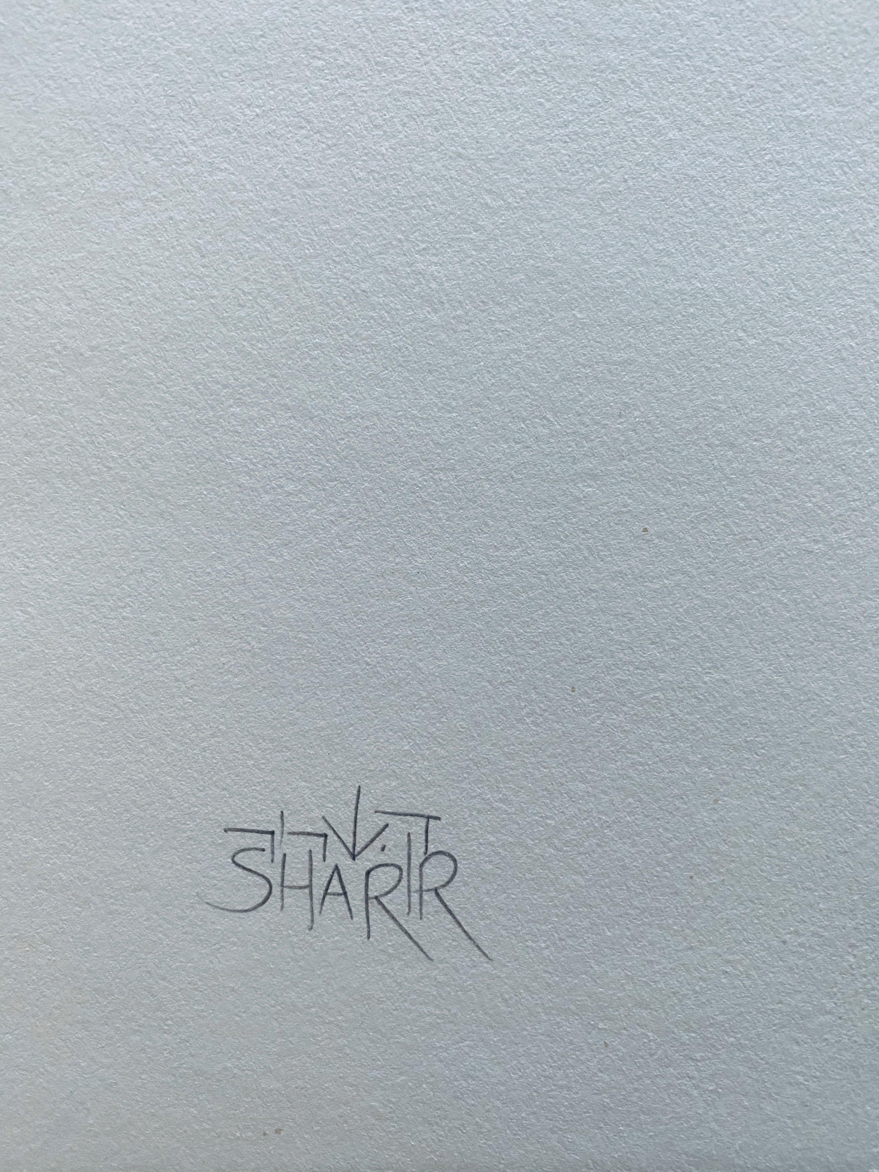 Litografía israelí moderna Ciudad de David David Sharir en venta 7