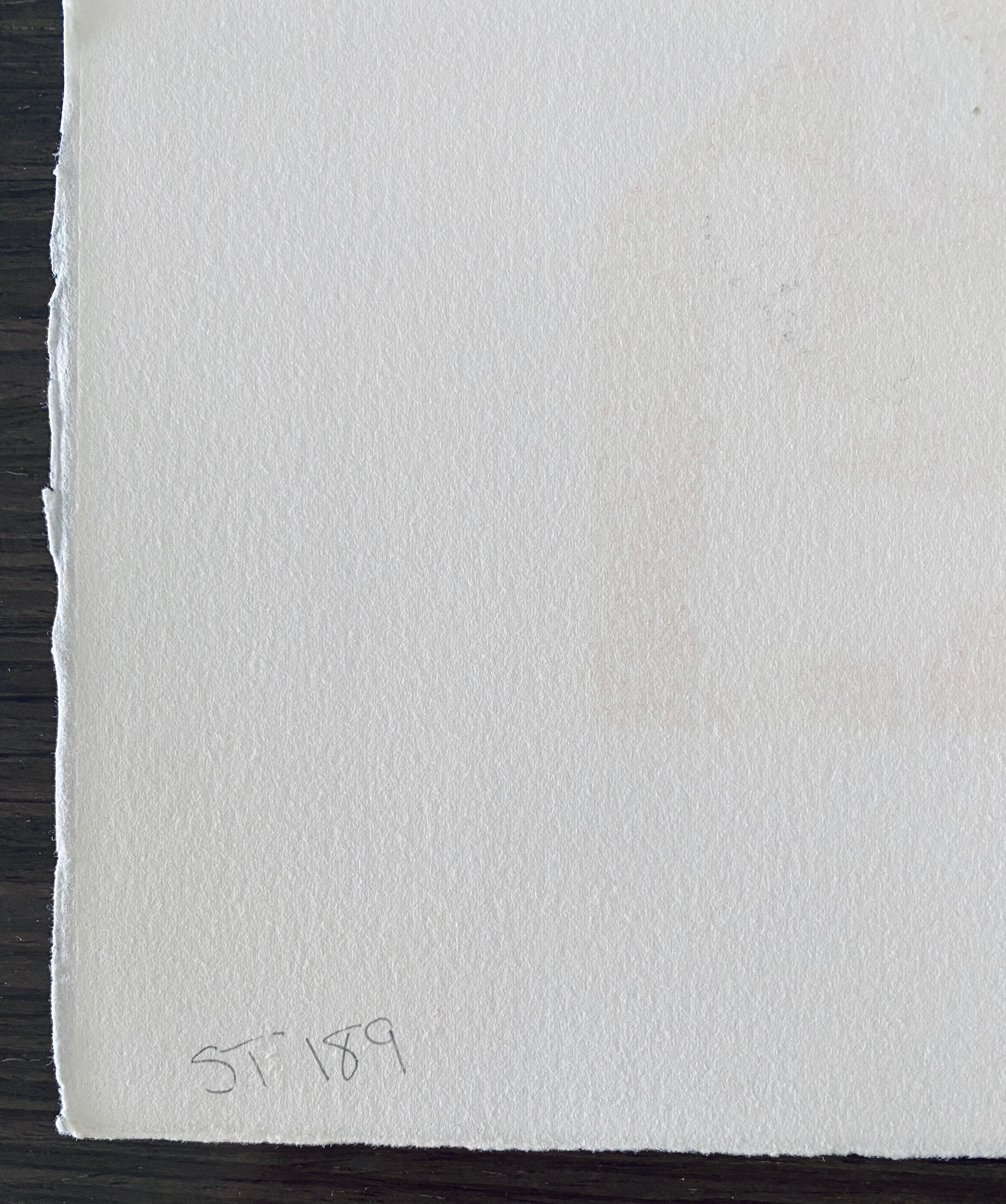 Litografía serigráfica de arte popular ingenuo israelí David Sharir - Escena del Bet Hamikdash en venta 7