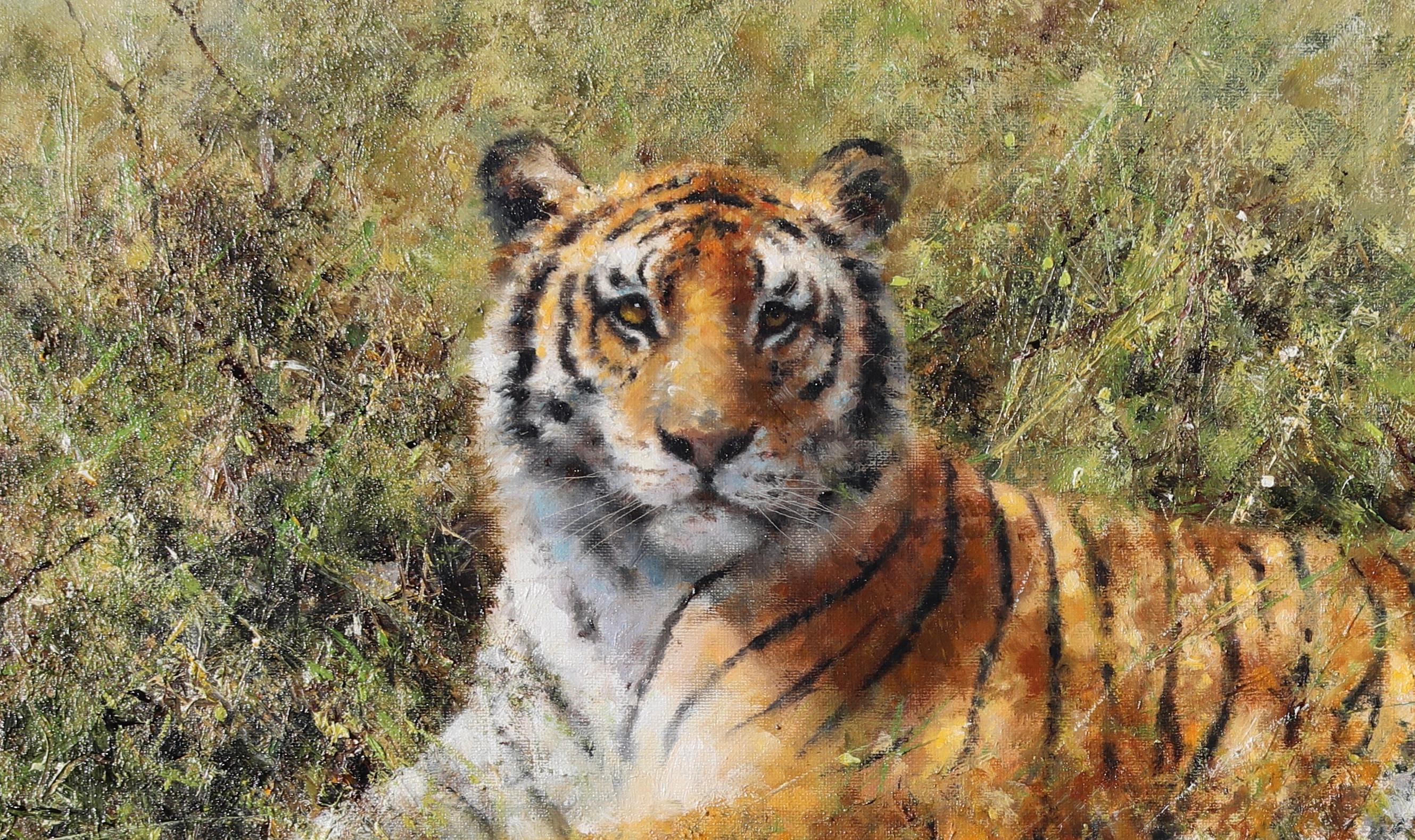 A riposo, ma all'erta - Tigre vigile, 2001, David Shepherd Pittura ad olio originale in vendita 6