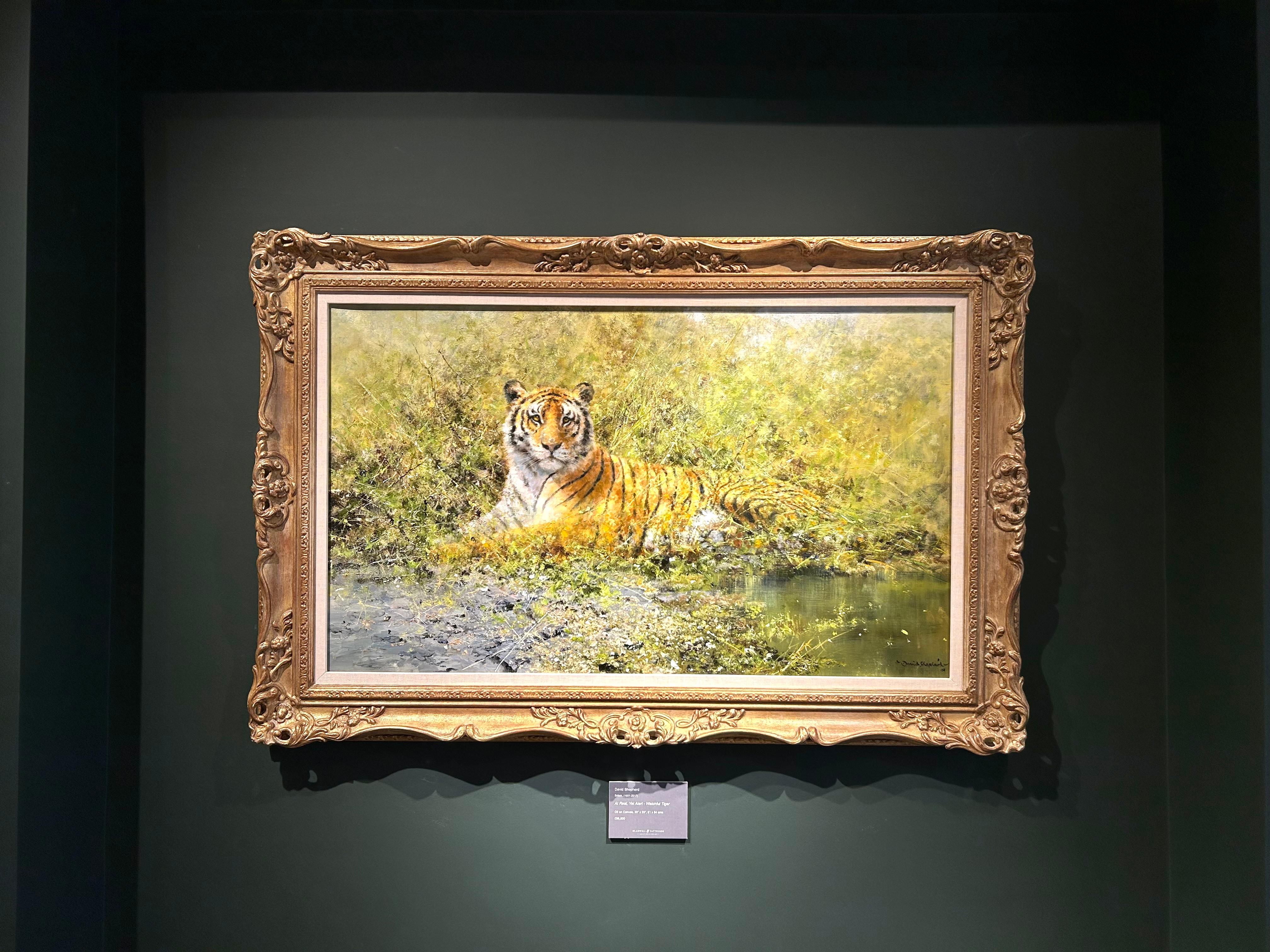 A riposo, ma all'erta - Tigre vigile, 2001, David Shepherd Pittura ad olio originale in vendita 8