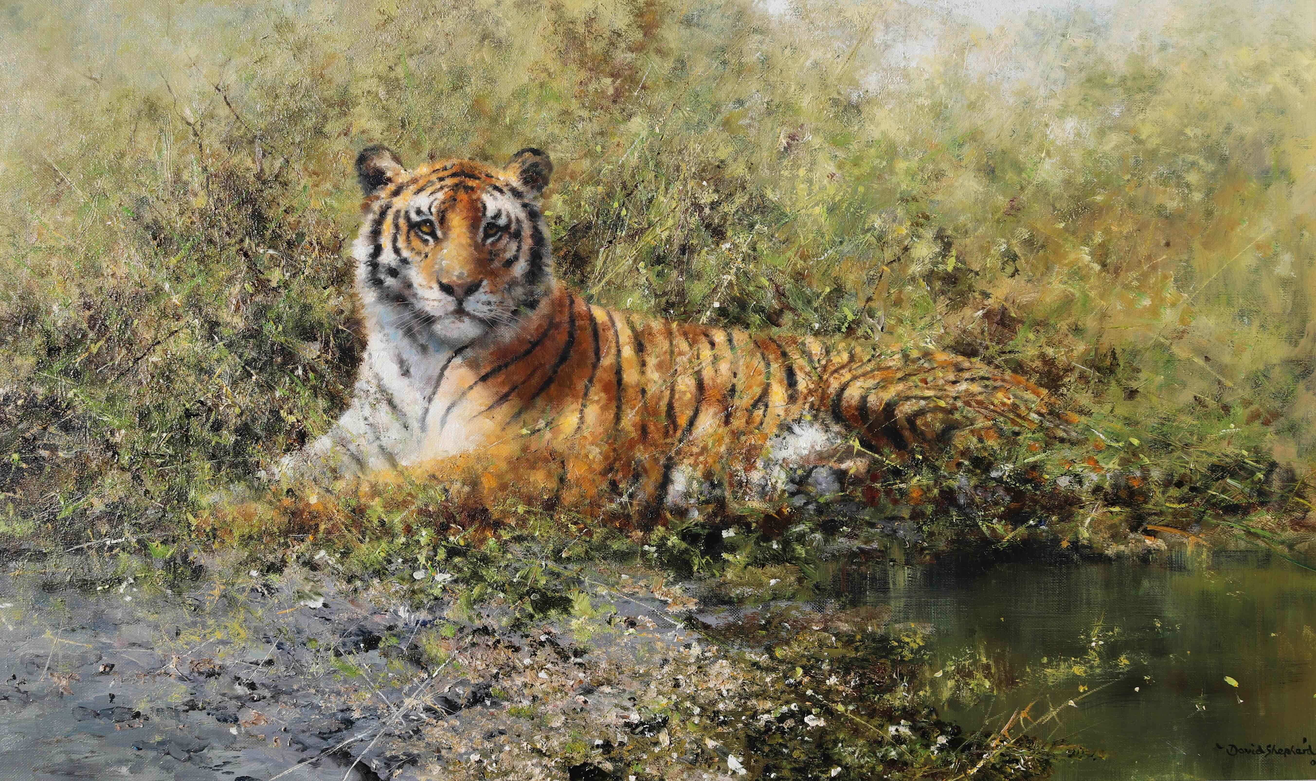Au repos, mais en alerte - Le tigre vigilant, 2001, peinture à l'huile originale de David Shepherd