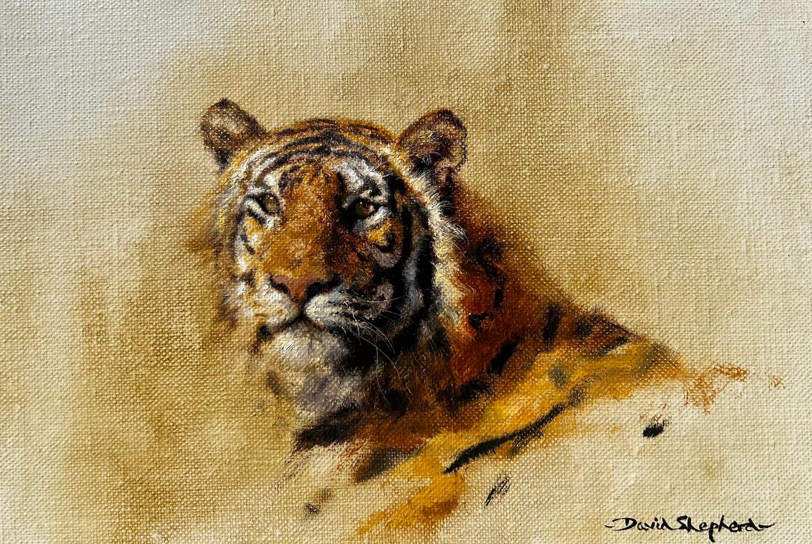 Animal Painting David Shepherd - Les yeux du tigre