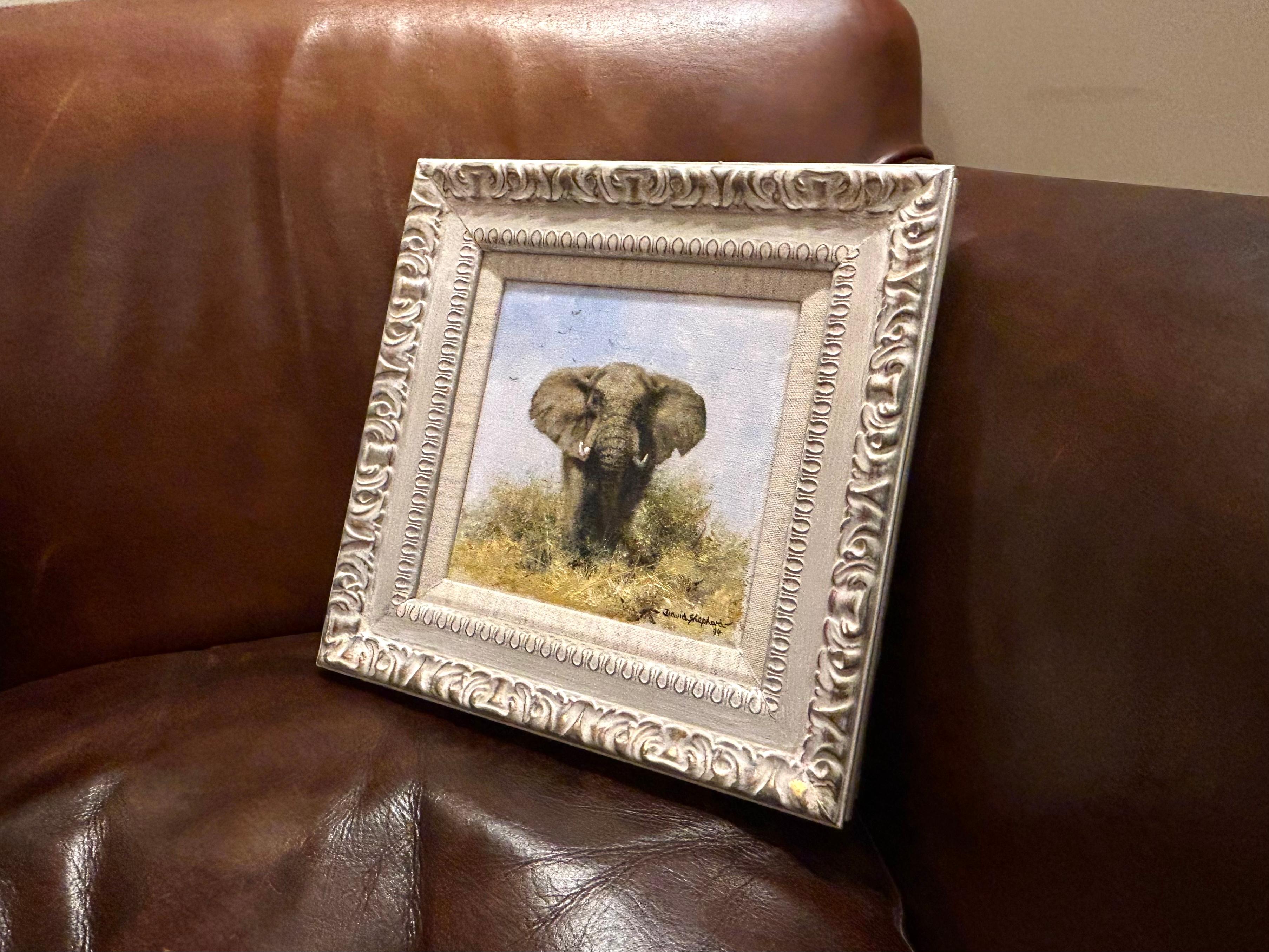 The Old Bull, 1994, Original David Shepherd Oil Painting 5