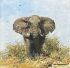 The Old Bull, 1994, peinture à l'huile originale de David Shepherd