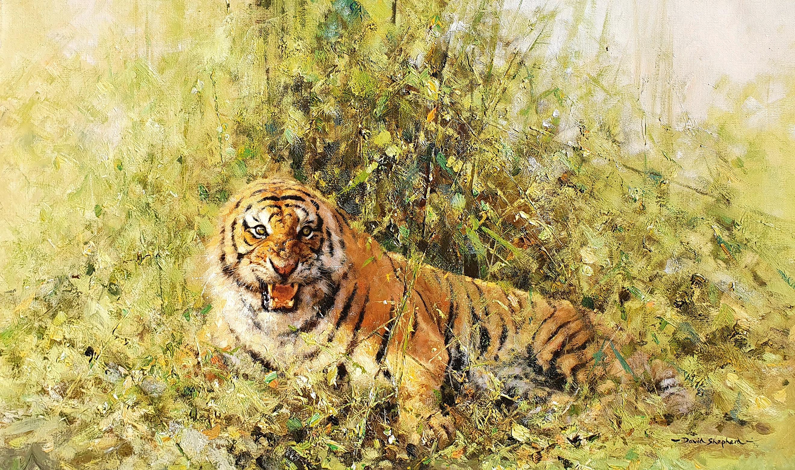 Tiger - Painting by David Shepherd