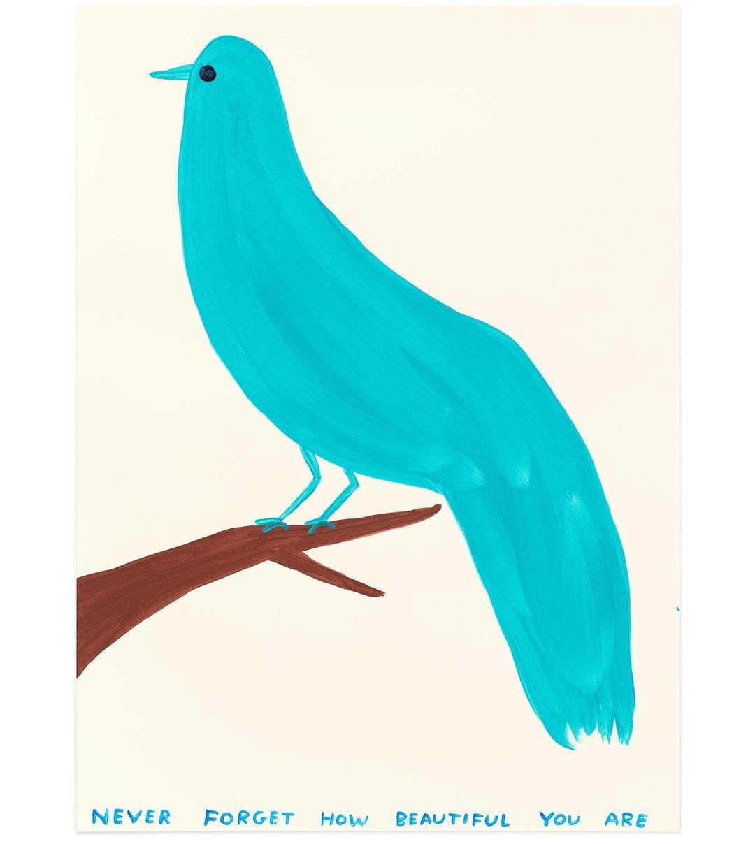 David Shrigley - Never Forget How Beautiful You Are