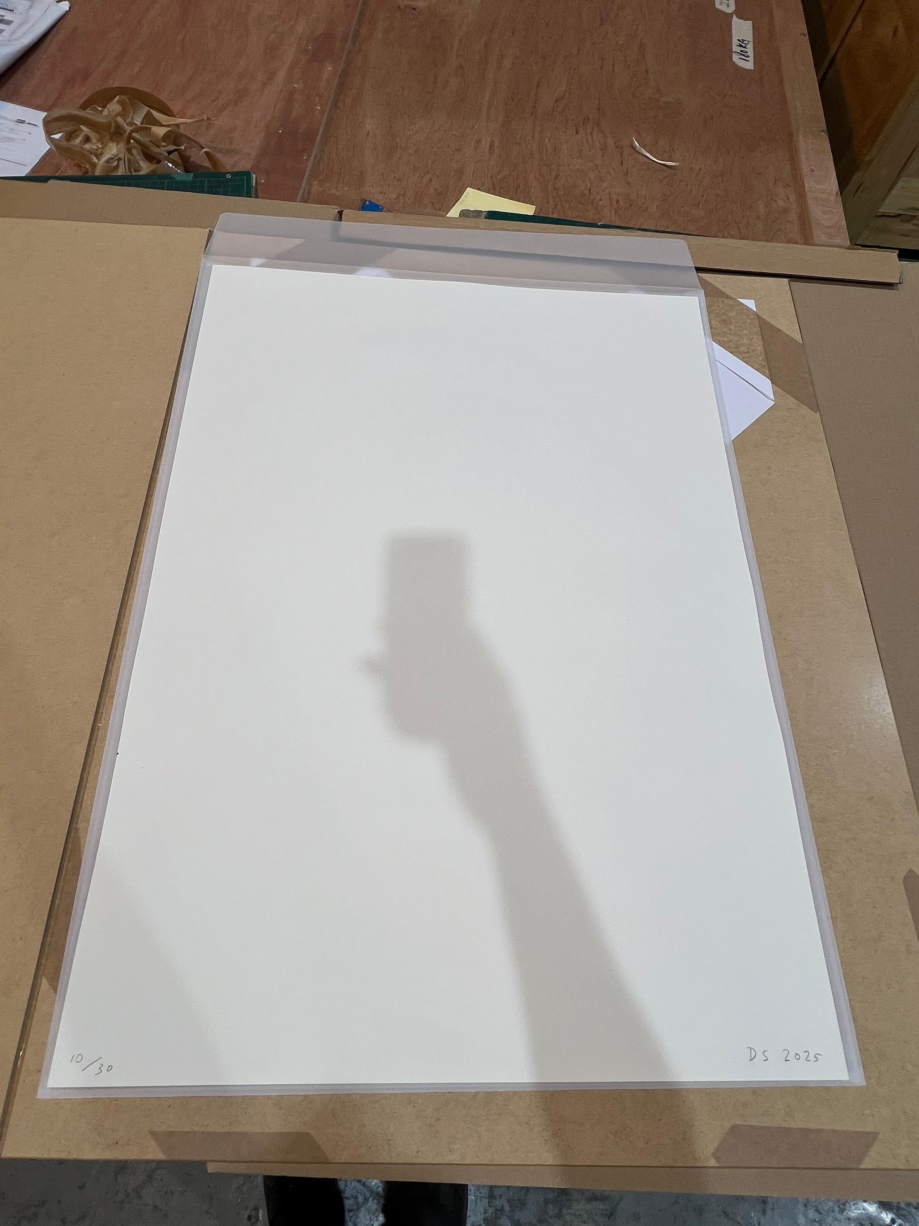 I Can Sing For You, 2025, pittura acrilica su carta di David Shrigley in vendita 11