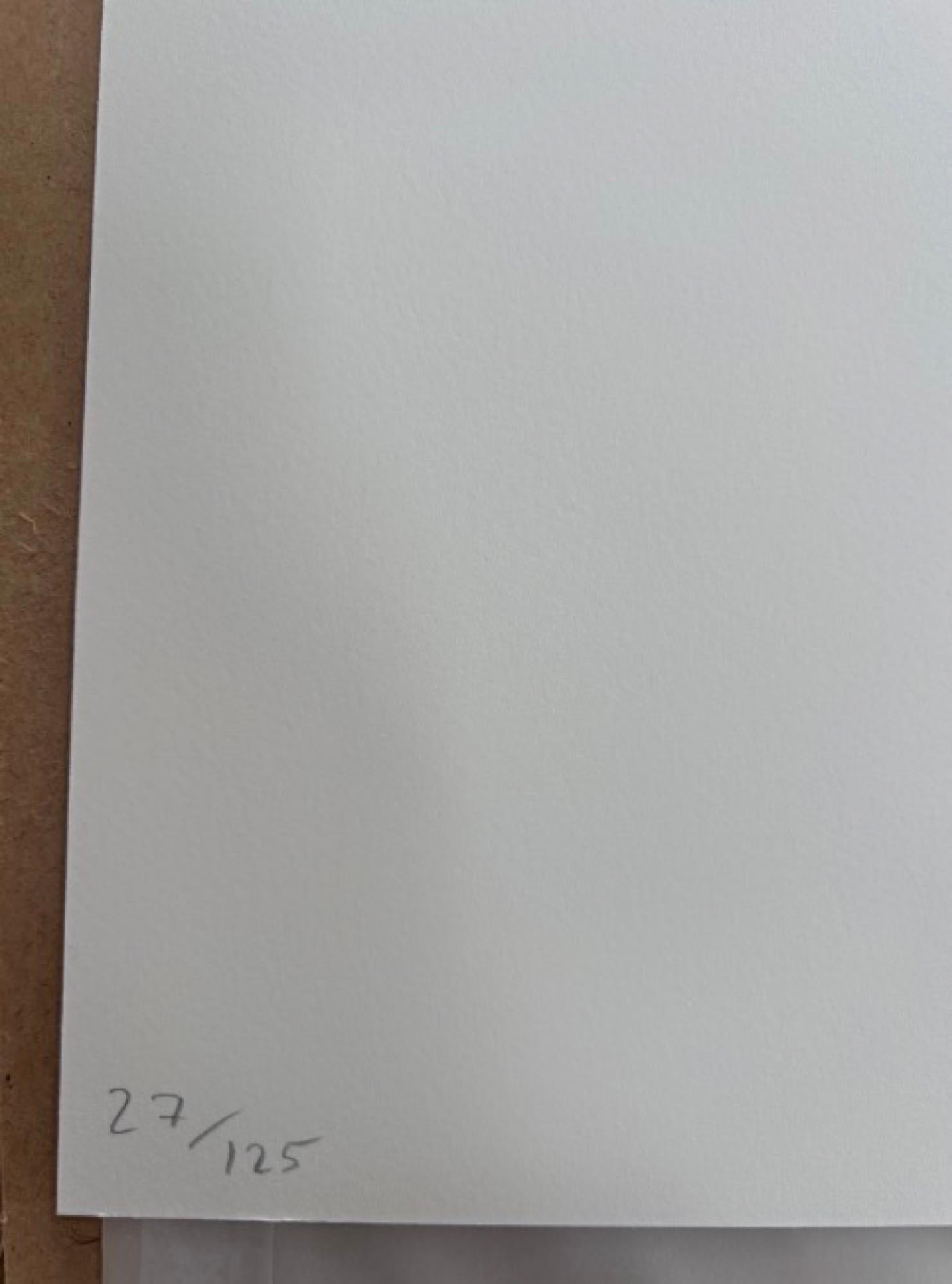 3 x David Shrigley artworks  Elephant, Frog, Bird For Sale 4