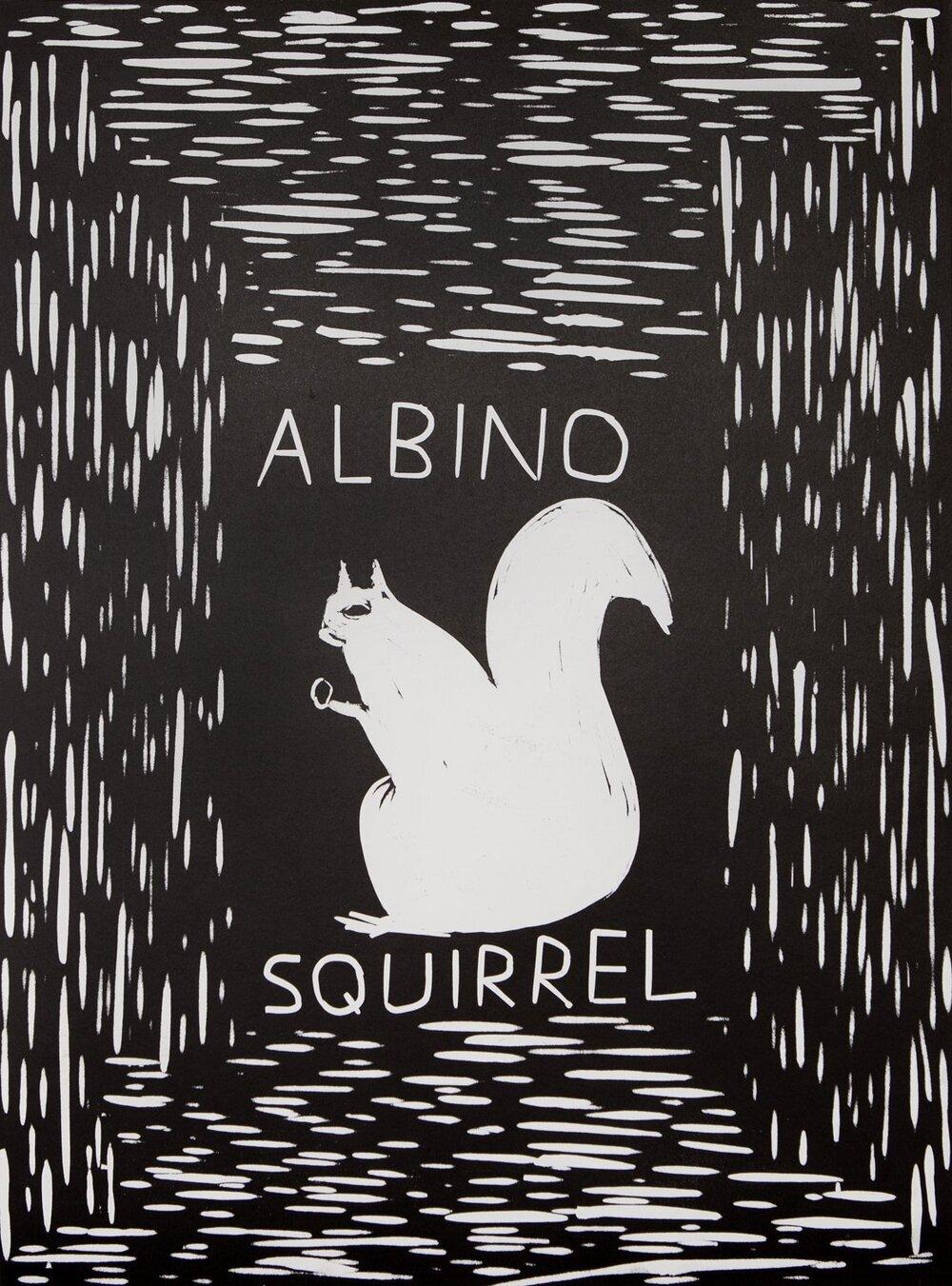 David Shrigley - Écureuil Albino, 2017