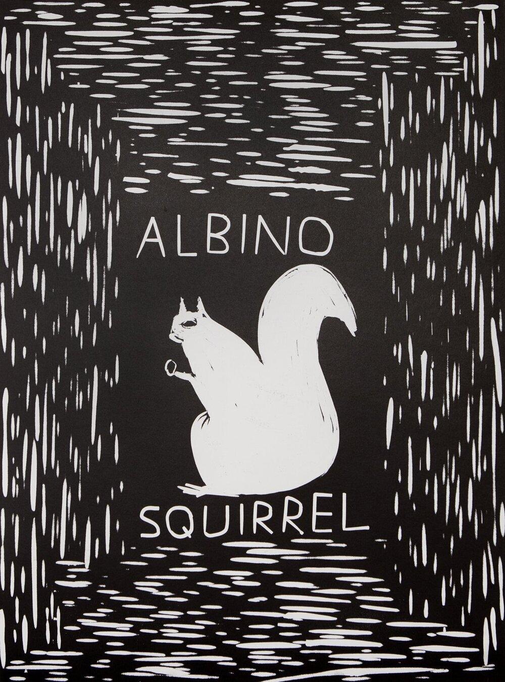 David Shrigley – Albino, Eichhörnchen, 2017