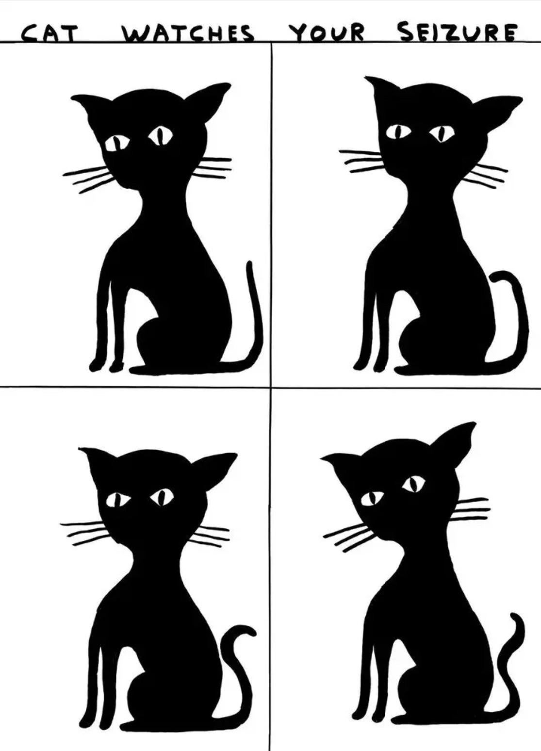 David Shrigley
Cat Watches Your Seizure, 2023
Off-set lithography Printed on 200g Munken Lynx
27 3/5 × 19 7/10 in  70 × 50 cm
Edition of 350
